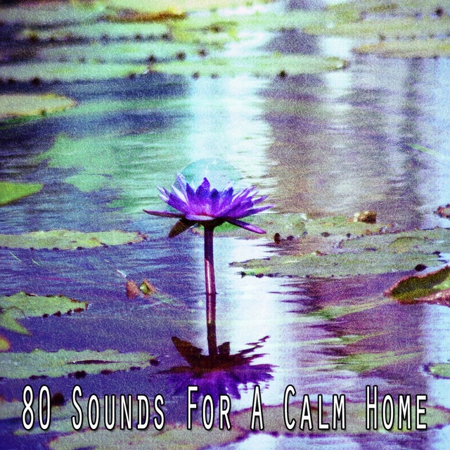 Couverture de 80 Sounds for a Calm Home