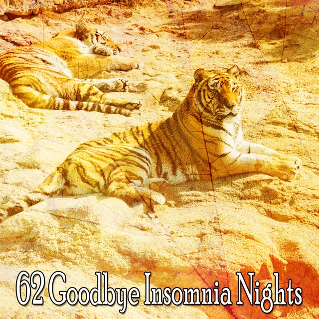 Couverture de 62 Goodbye Insomnia Nights
