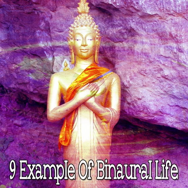 9 Example of Binaural Life