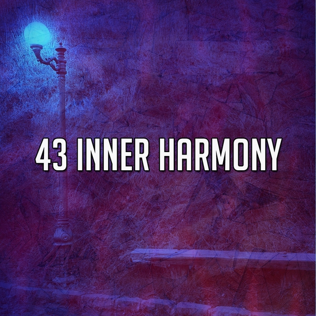 Couverture de 43 Inner Harmony
