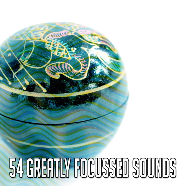 Couverture de 54 Greatly Focussed Sounds