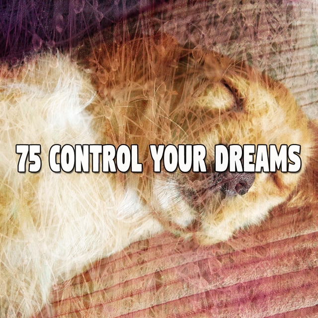 75 Control Your Dreams