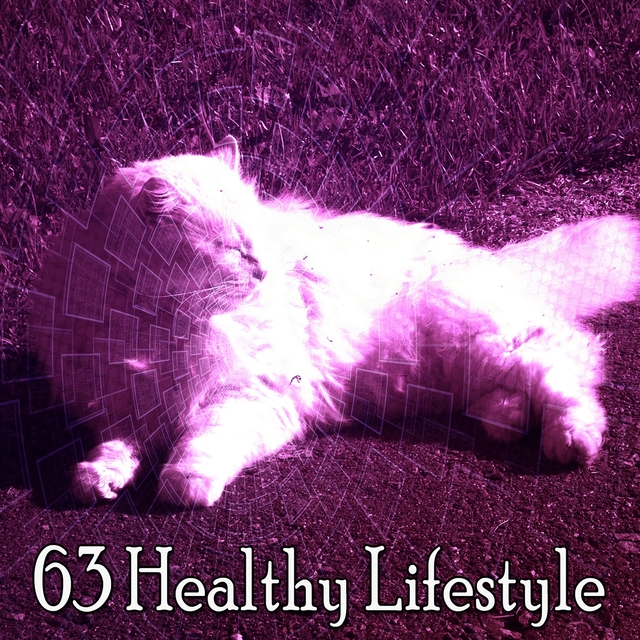 63 Healthy Lifestyle