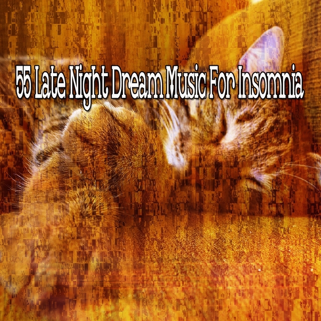 55 Late Night Dream Music for Insomnia