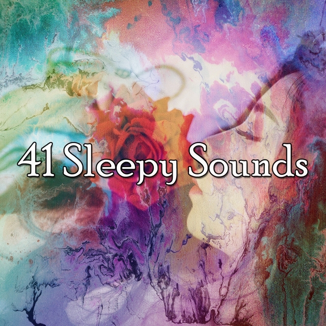 Couverture de 41 Sleepy Sounds