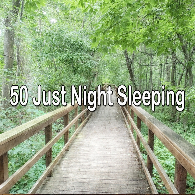 50 Just Night Sleeping