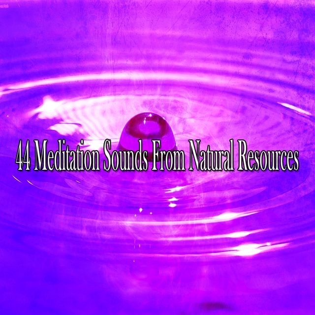 Couverture de 44 Meditation Sounds from Natural Resources