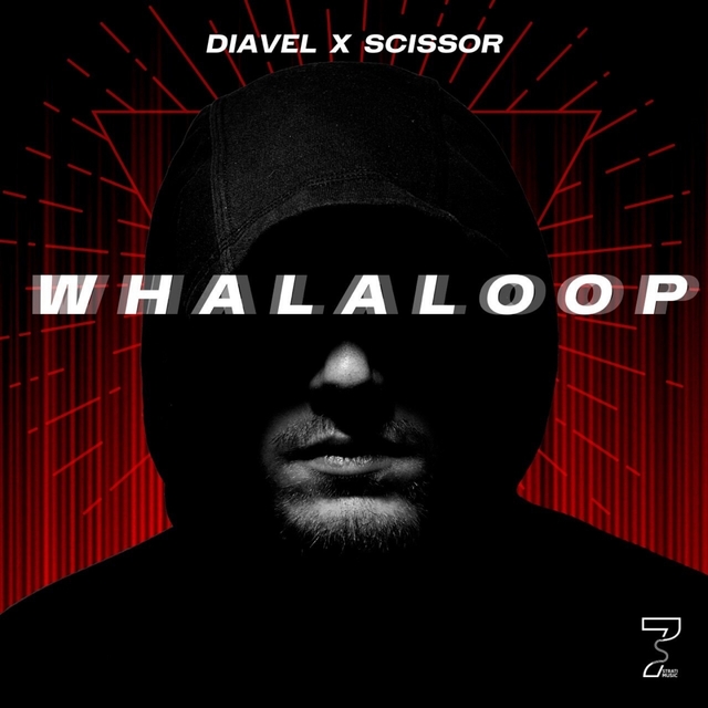 Couverture de Whalaloop