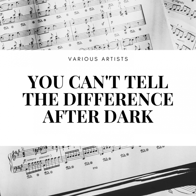 Couverture de You Can't Tell the Difference After Dark