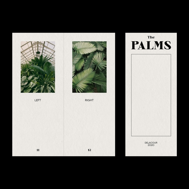 The Palms