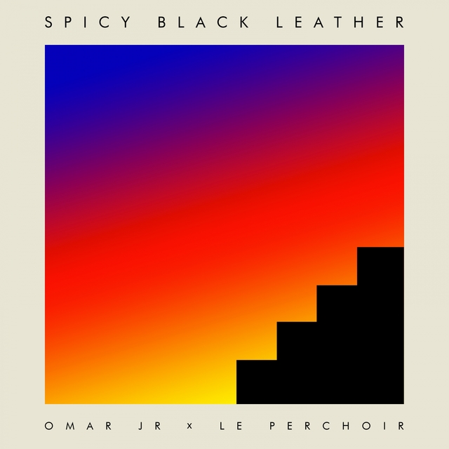 Couverture de Spicy Black Leather