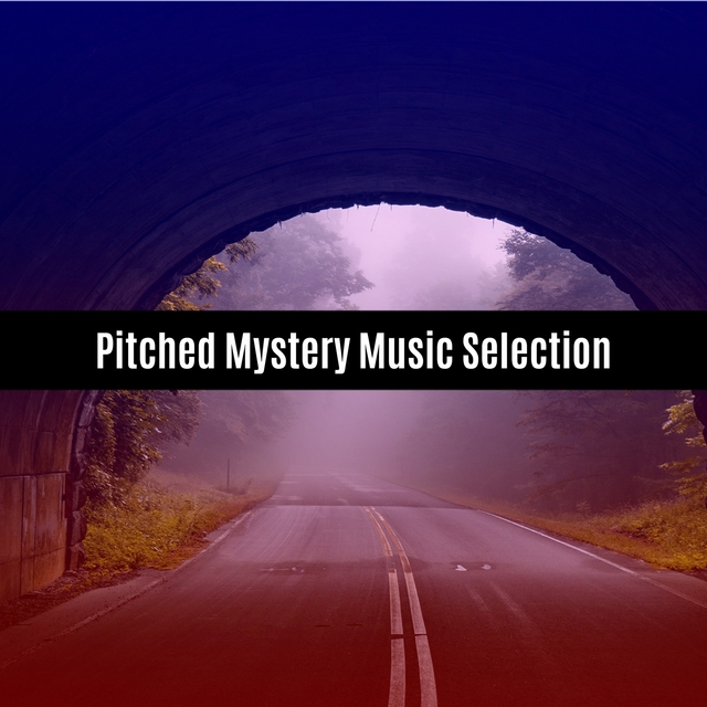 Couverture de Pitched Mystery Music Selection