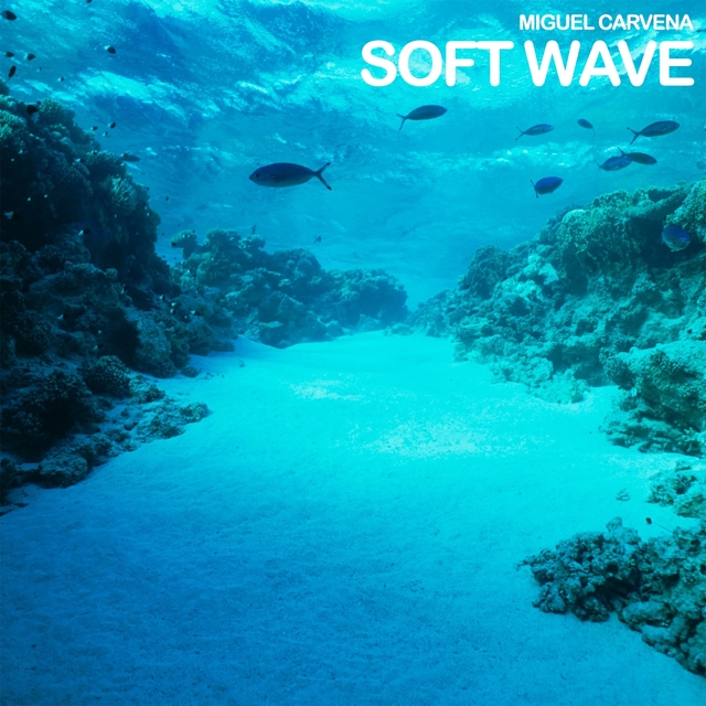 Couverture de Soft Wave