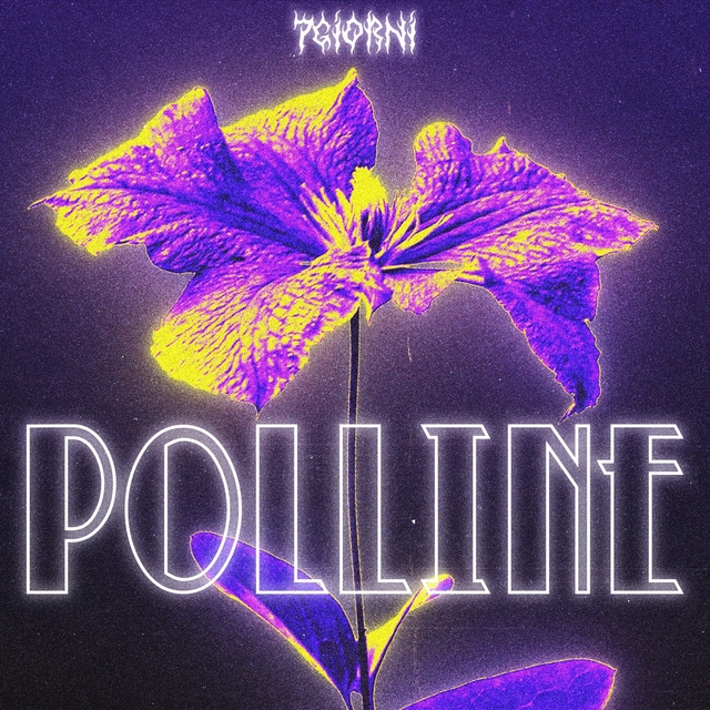 Couverture de Polline