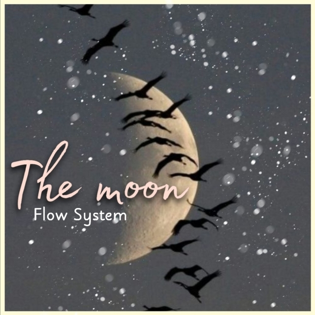 Couverture de the moon