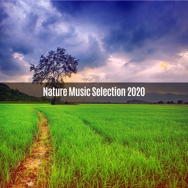 Couverture de Nature Music Selection 2020