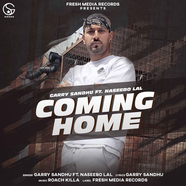 Couverture de Coming Home