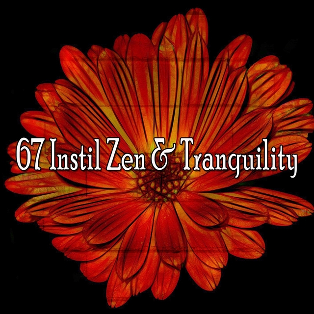 Couverture de 67 Instil Zen & Tranquility