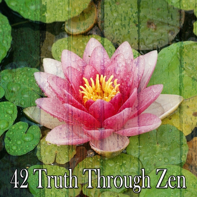 42 Truth Through Zen