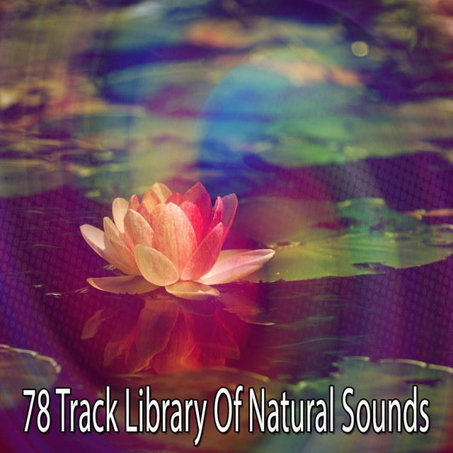 78 Track Library of Natural Sounds