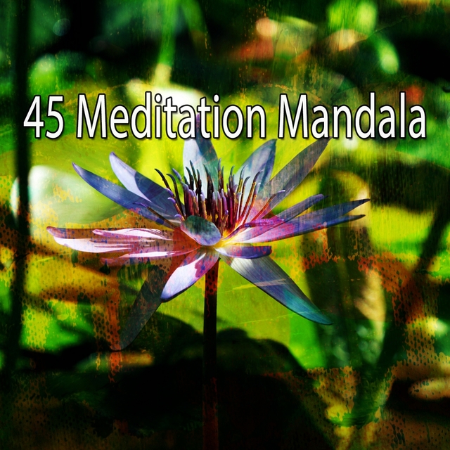 45 Meditation Mandala