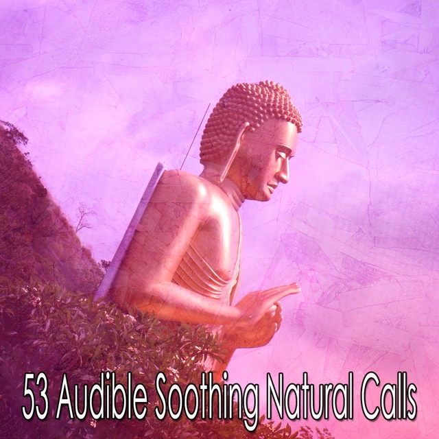 53 Audible Soothing Natural Calls