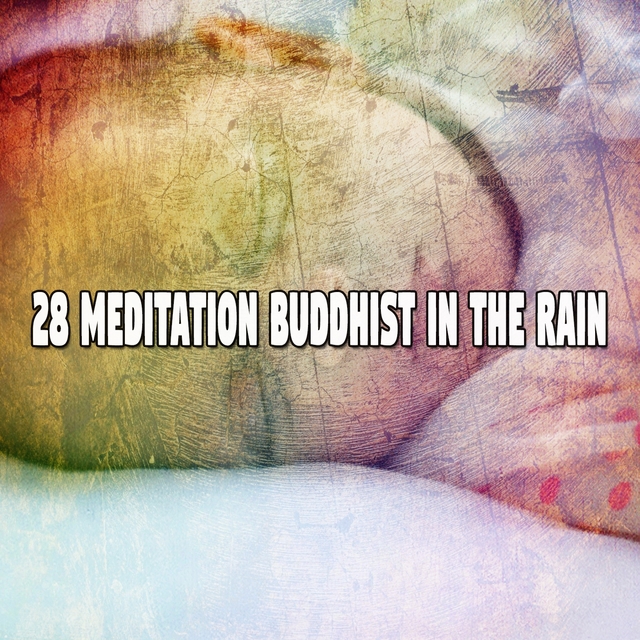 28 Meditation Buddhist in the Rain