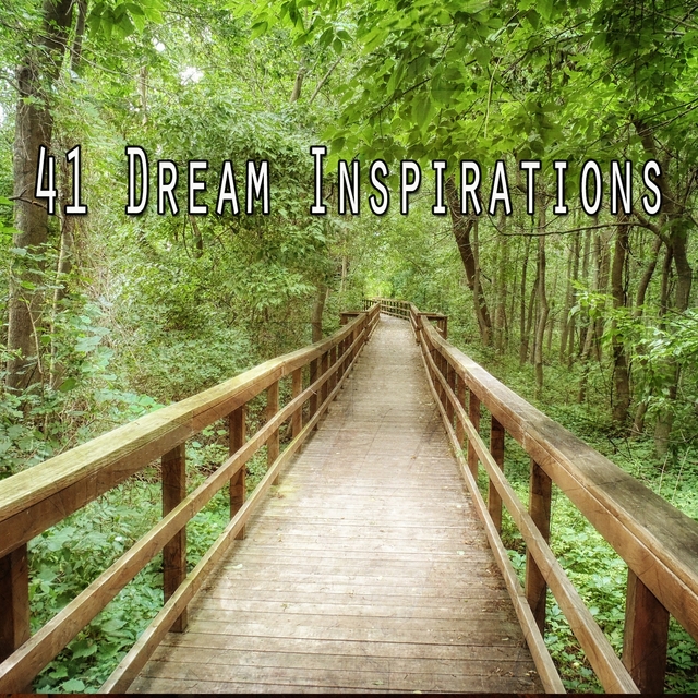 41 Dream Inspirations