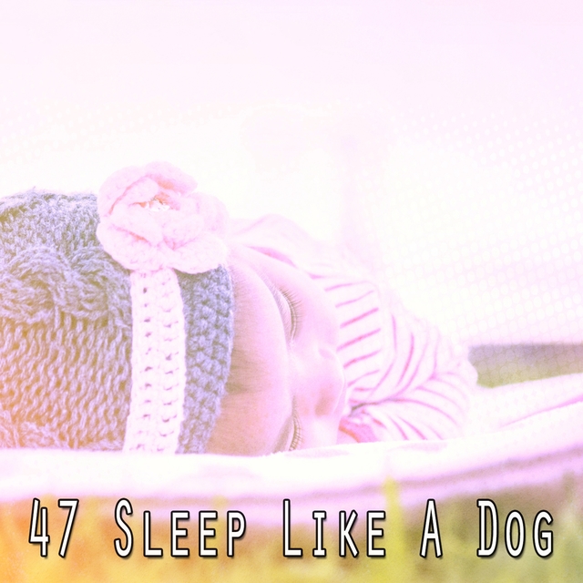 47 Sleep Like a Dog