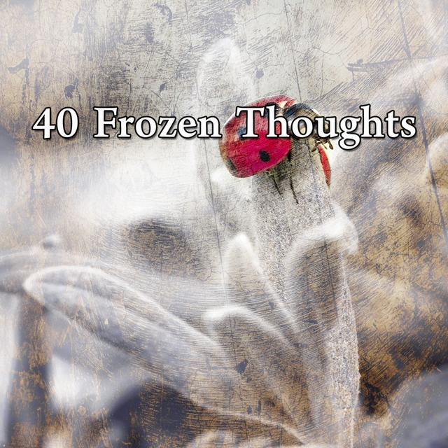 40 Frozen Thoughts