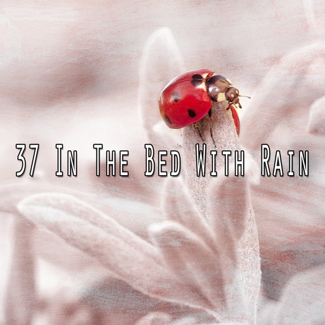 37 In the Bed with Rain