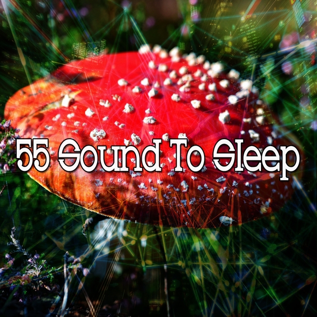 55 Sound to Sle - EP