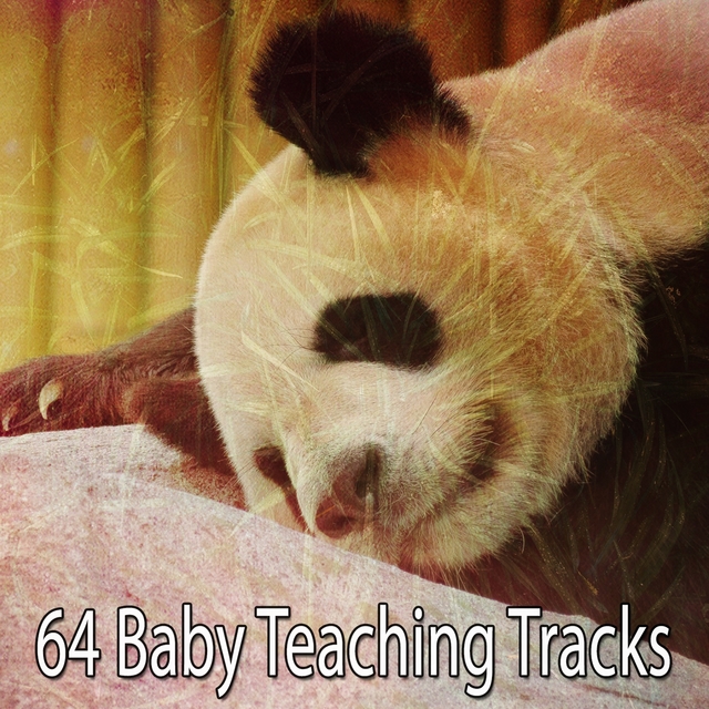 64 Baby Teaching Tracks