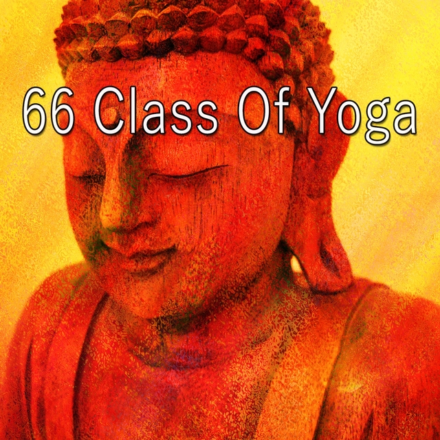 66 Class of Yoga