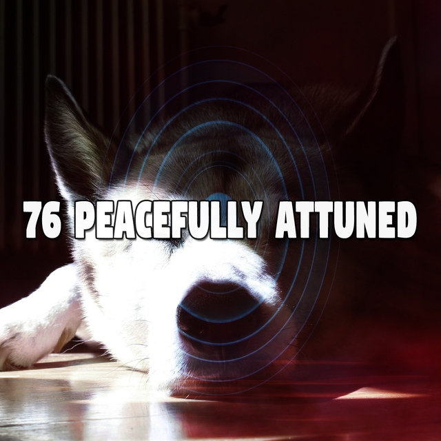 76 Peacefully Attuned