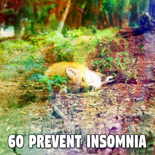 60 Prevent Insomnia