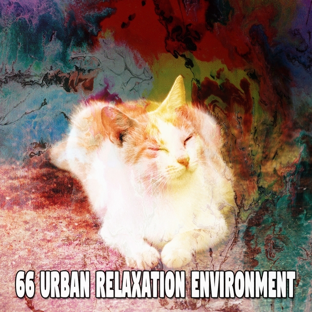 66 Urban Relaxation Environment