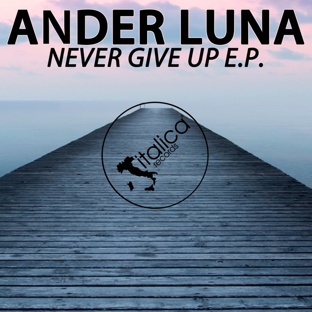 Couverture de Never Give Up