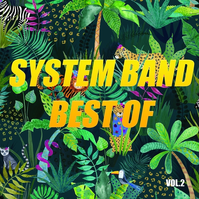 Couverture de Best of system band