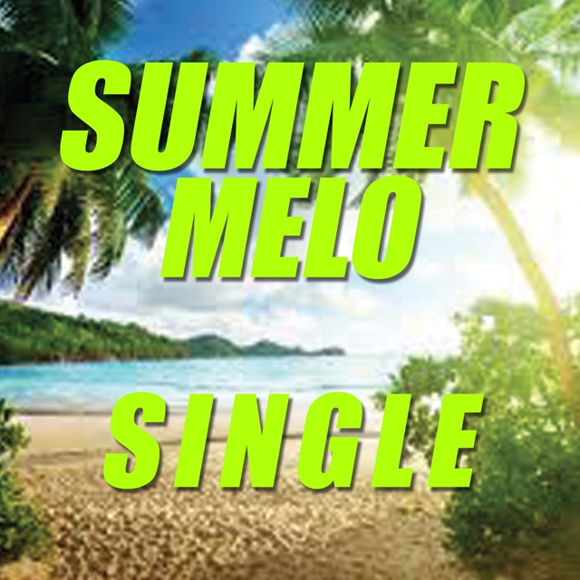 Couverture de Single summer melo