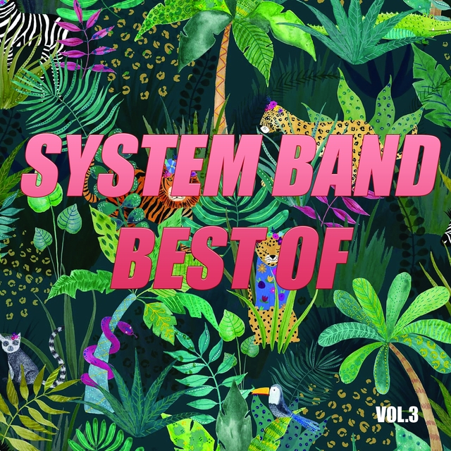 Couverture de Best of system band