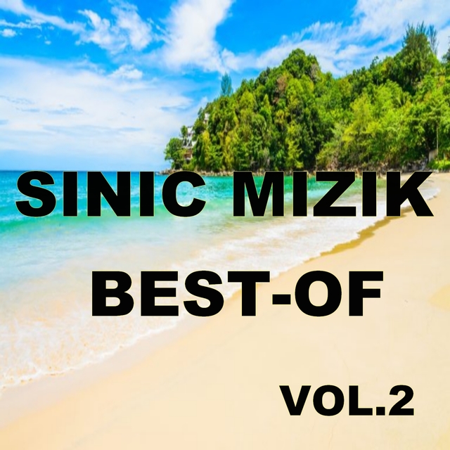 Couverture de Best of sinic mizik