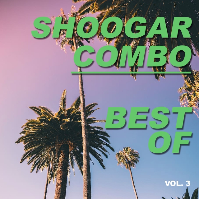 Couverture de Best of shoogar combo