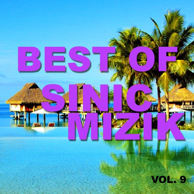 Couverture de Best of sinic mizik