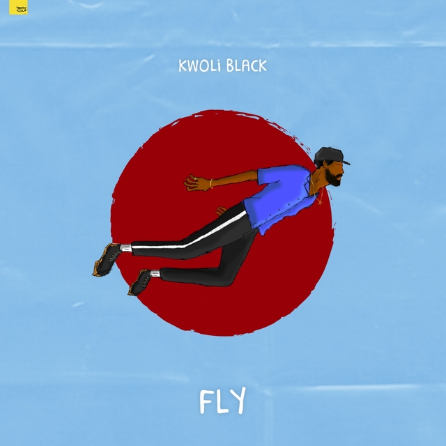 Couverture de Fly