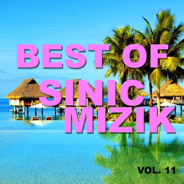 Couverture de Best of sinic mizik