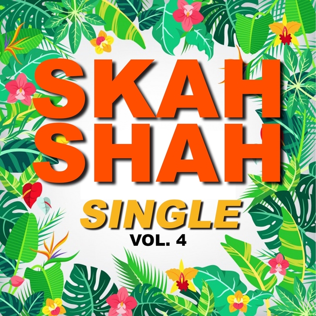 Couverture de Single skah shah