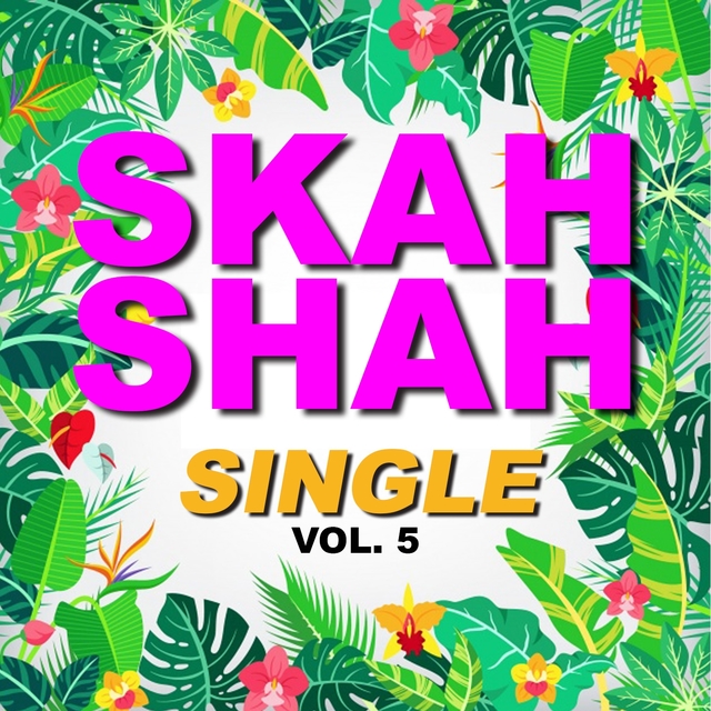 Couverture de Single skah shah