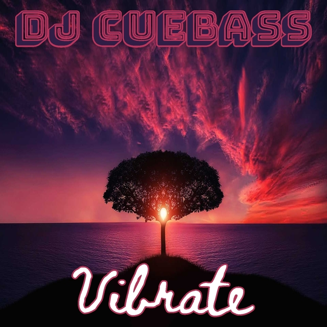 Couverture de Vibrate