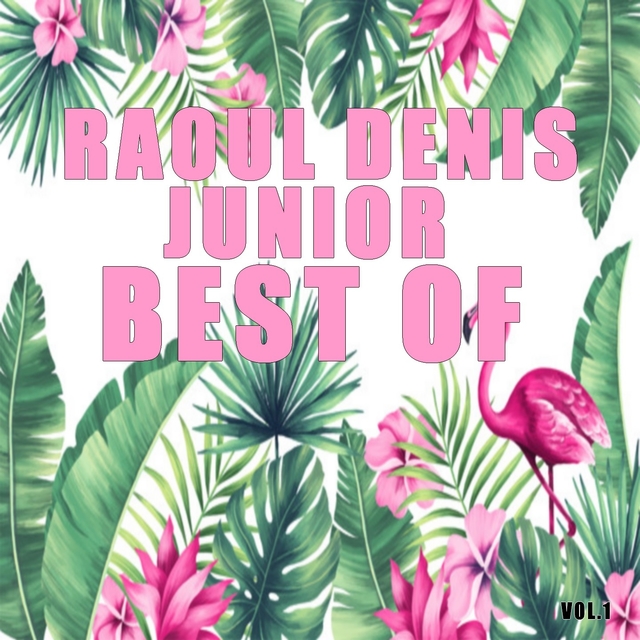 Couverture de Best of Raoul Denis junior